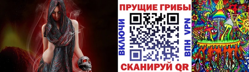 Псилоцибиновые грибы прущие грибы  Неман 